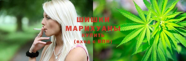 прущая мука Вяземский