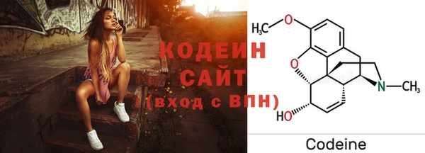 прущая мука Вяземский